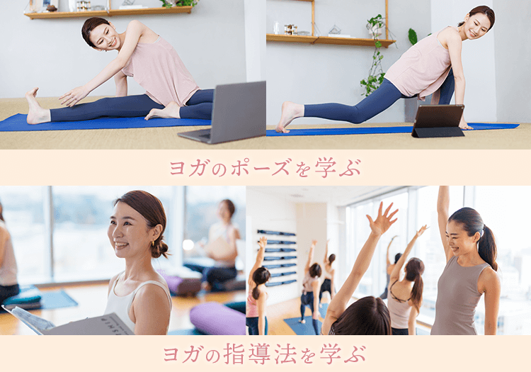 ヨガのポーズを学ぶ。ヨガの指導法を学ぶ