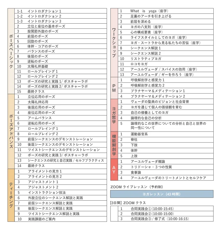 カリキュラム内容