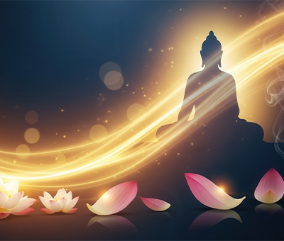 ヨガ哲学を着こなそう　【アヒムサー編】